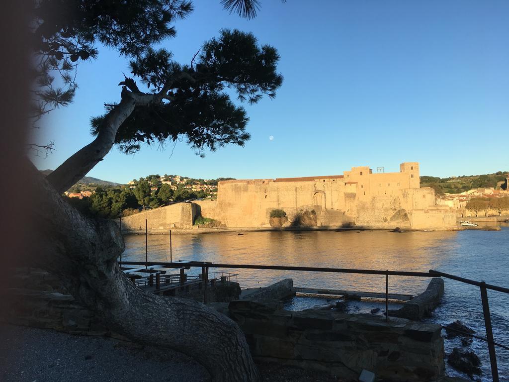 Un Balcon Sur La Mer Port Vendres Esterno foto